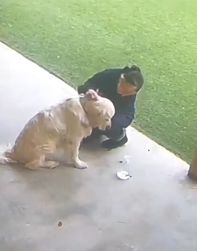Tons of tears after video captures the face of last dog left waiting for his mom at day care Tons of tears after video captures the face of last dog left waiting for his mom at day care
