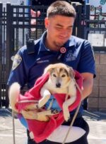 Not having it: Dog adopted from shelter in 2010 and returned 16 years later