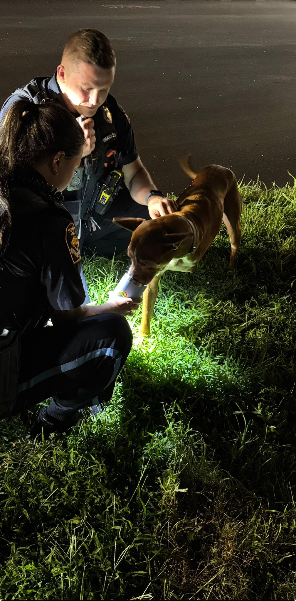 Saddest discovery turned hopeful as police officer helped lost 3 legged pup unable to stand