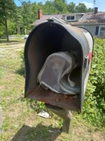 Small dog in carrier abandoned in mailbox Small dog in carrier abandoned in mailbox