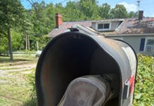 Small dog in carrier abandoned in mailbox