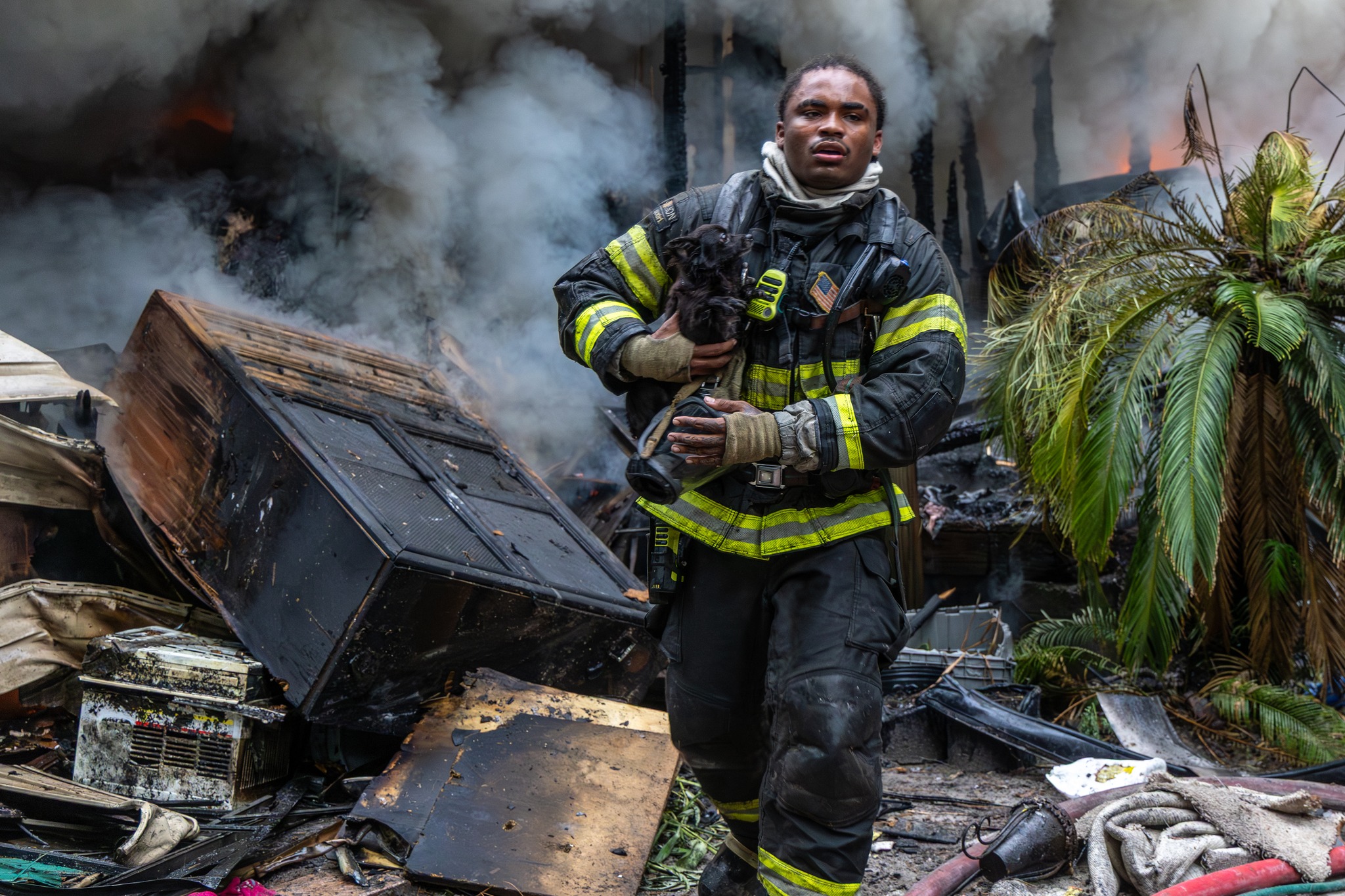 Firefighters spent their July 4th rescuing 12 dogs from mobile home fire in Florida