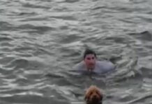 Boston man almost lost his own life diving into freezing water to rescue his dog