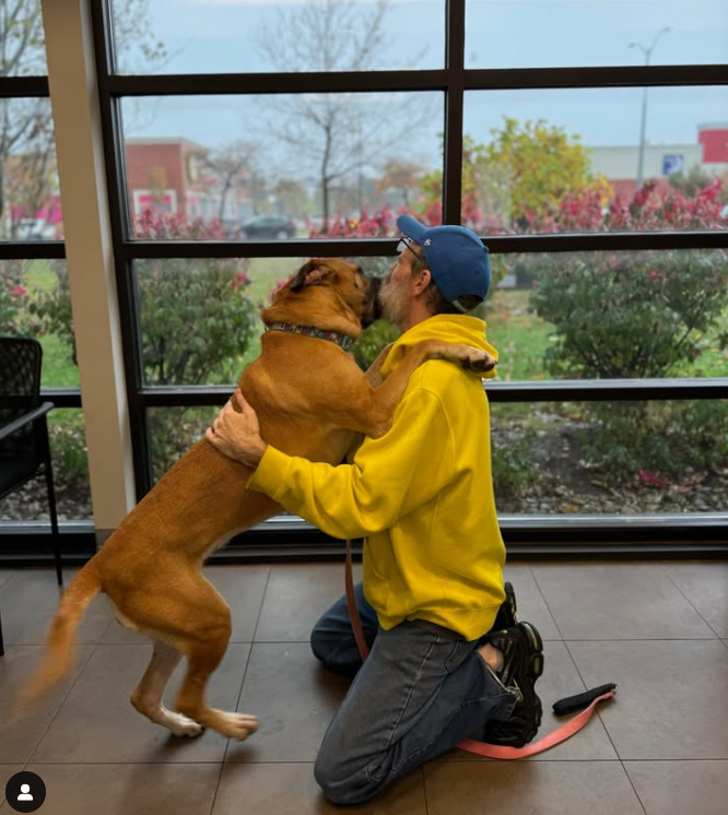 After 750 days dog reunites with his owner who had been diagnosed with rare cancer After 750 days dog reunites with his owner who had been diagnosed with rare cancer