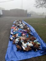 Santa left a toy on Christmas for every pup on their walk at Mobile animal shelter Santa left a toy on Christmas for every pup on their walk at Mobile animal shelter