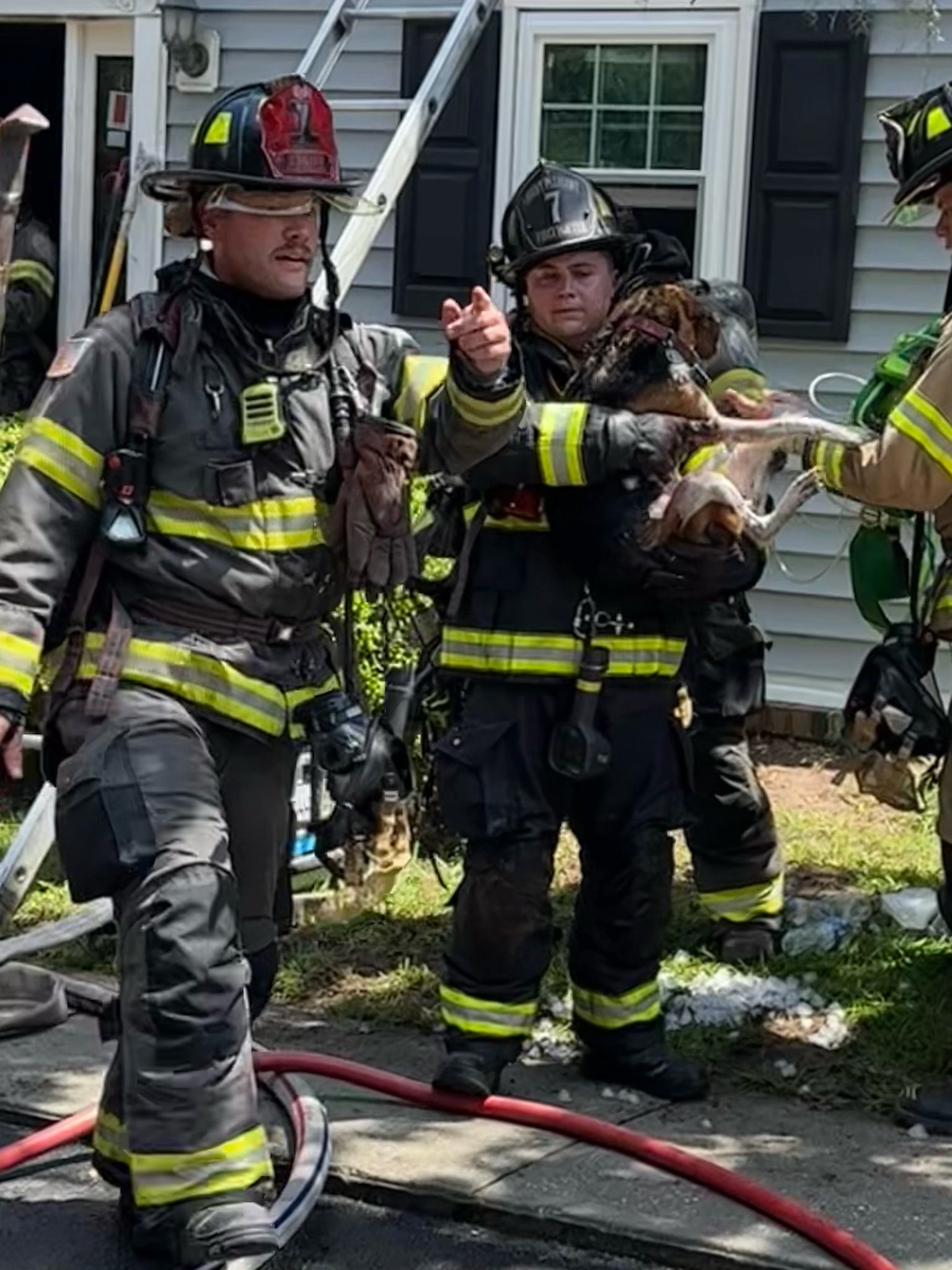 Heartwarming rescue by firemen of 4 dogs trapped in burning Mount Pleasant townhome Heartwarming rescue by firemen of 4 dogs trapped in burning Mount Pleasant townhome