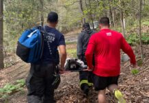 Community comes together to rescue senior pup stuck in mud up to her neck