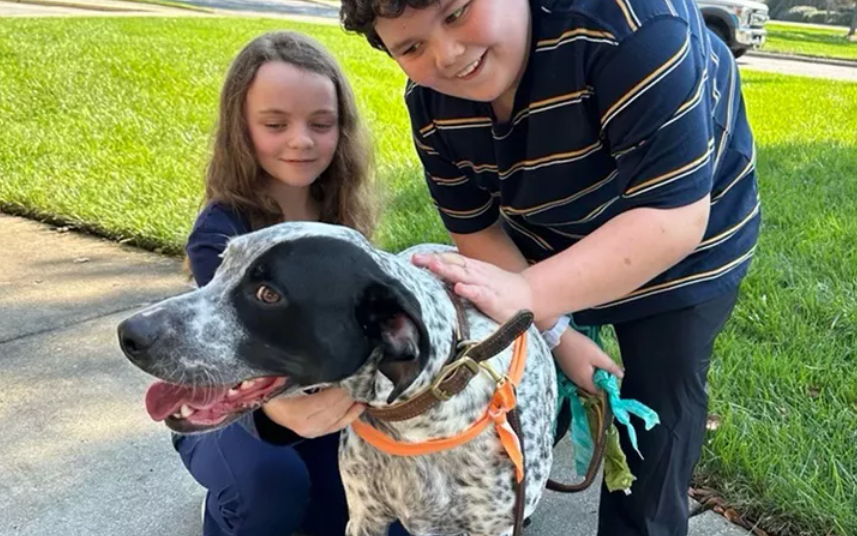 Rescued shelter dog pays family back in loyalty after rescuing 11-year-old child from Asheville mudslide