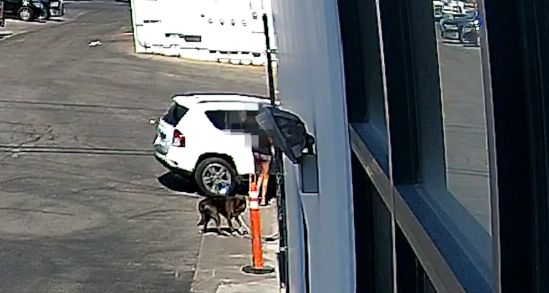 Heartless person tied frightened dog to pole on hot concrete outside shelter with temperatures over 100 degrees Heartless person tied frightened dog to pole on hot concrete outside shelter with temperatures over 100 degrees