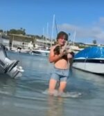 Newport Beach teen jumps into marina to rescue dog struggling to stay afloat Newport Beach teen jumps into marina to rescue dog struggling to stay afloat