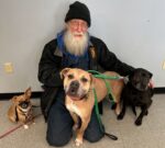 Senior love story for 2 dogs and the man who challenged snowstorm to adopt them