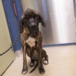 So skinny: No one has loved Nola for a long time but all that has changed