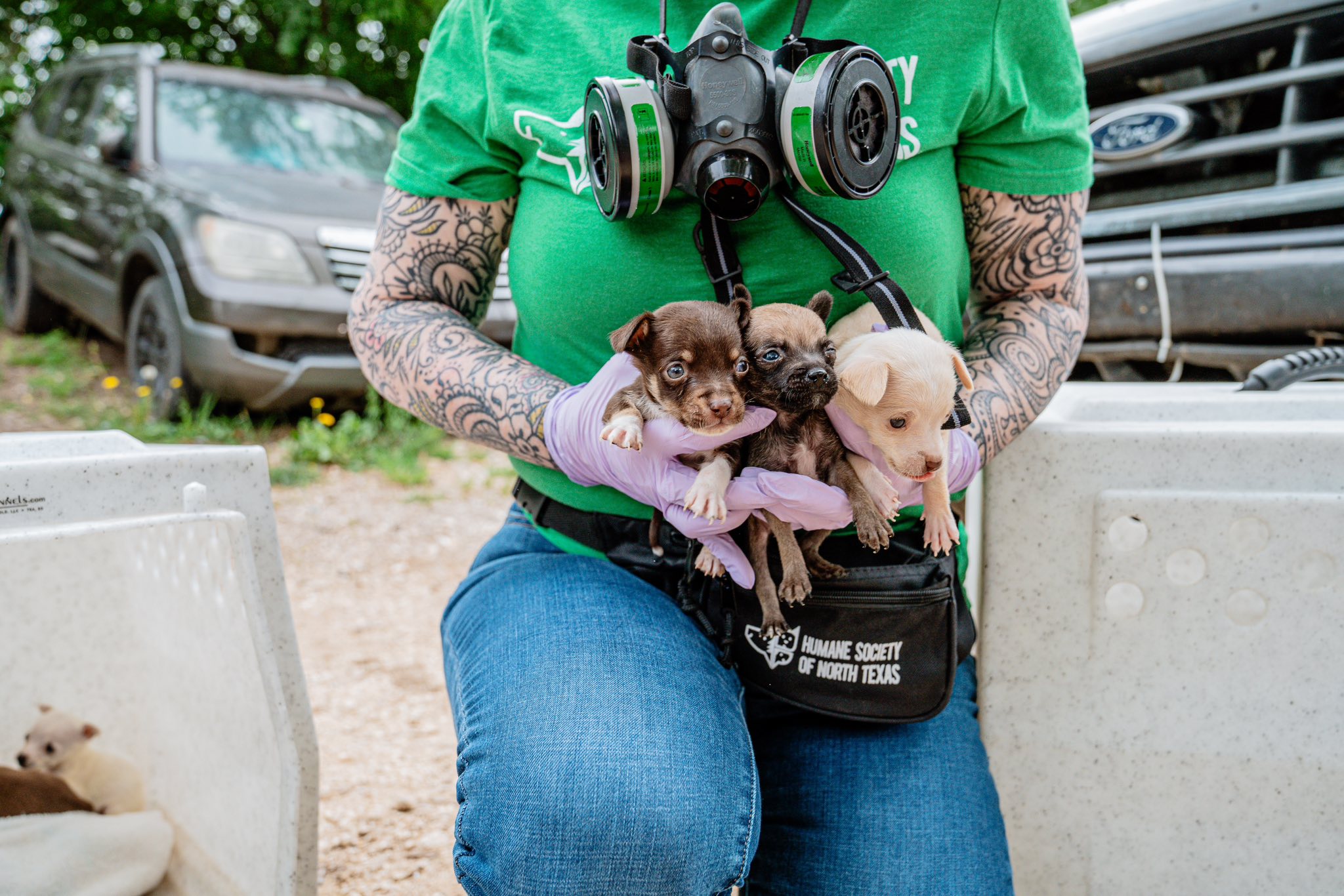Texas animal shelter secured release of 36 dogs and one cat surviving in Hillsboro shanty reaches out to community for help Texas animal shelter secured release of 36 dogs and one cat surviving in Hillsboro shanty reaches out to community for help