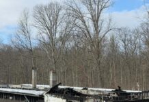 Devastating fire at One Step Closer Animal Rescue in Andover claims lives of 6 dogs