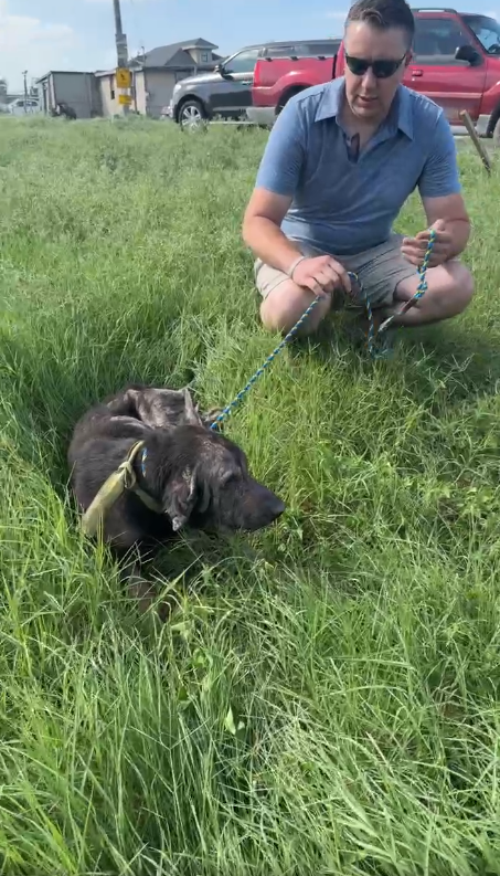 Rescuers rush to aid of terribly neglected dog found lying in driveway of rural Pennsylvania home