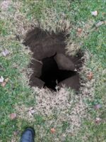 Pup had ‘ruff’ day when he fell into abandoned septic tank but help came quickly Pup had ‘ruff’ day when he fell into abandoned septic tank but help came quickly