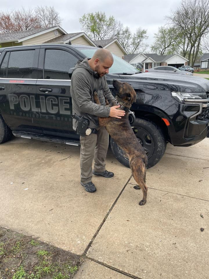 Pagedale police K9 missing for days from handler’s backyard found SAFE