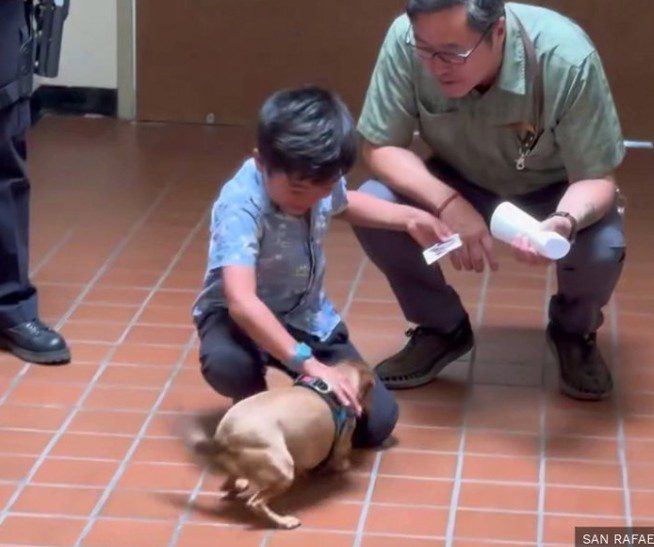 Family reunited with dog missing more than year after police animal abuse investigation