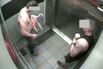 Tourist arrested for allegedly stealing and abusing pink flamingos from Las Vegas hotel