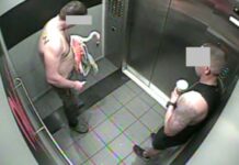 Tourist arrested for allegedly stealing and abusing pink flamingos from Las Vegas hotel