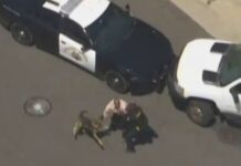K-9 officer hero helped arrest carjacking suspect after lengthy pursuit