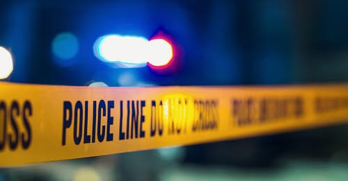 21 dogs died due to failed ventilation system at boarding facility: Owners charged 21 dogs died due to failed ventilation system at boarding facility: Owners charged
