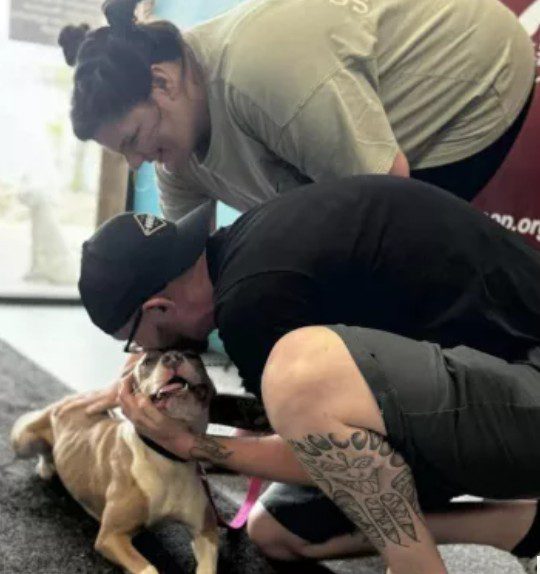 Pup’s overwhelming excitement as she reunites with his family after missing for months