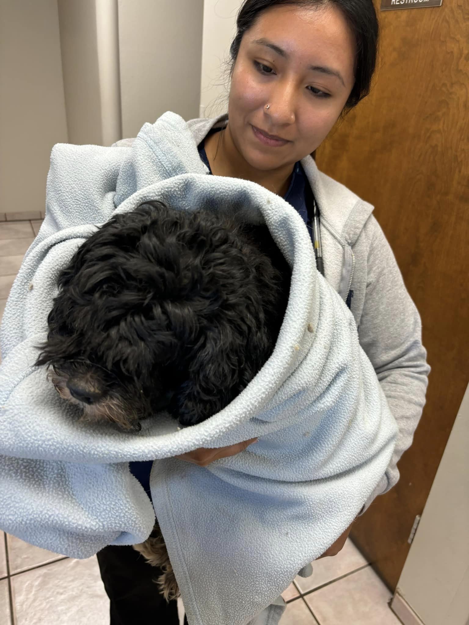 Heartbreaking: Neglected and abandoned blind pup found walking into traffic and no one cared until her rescuer arrived