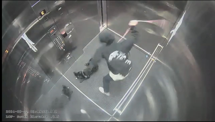 Oregon man caught on video abusing dog sentenced to prison Oregon man caught on video abusing dog sentenced to prison