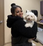 Gracious act from rescue organization reunites senior dog post surgery with owner