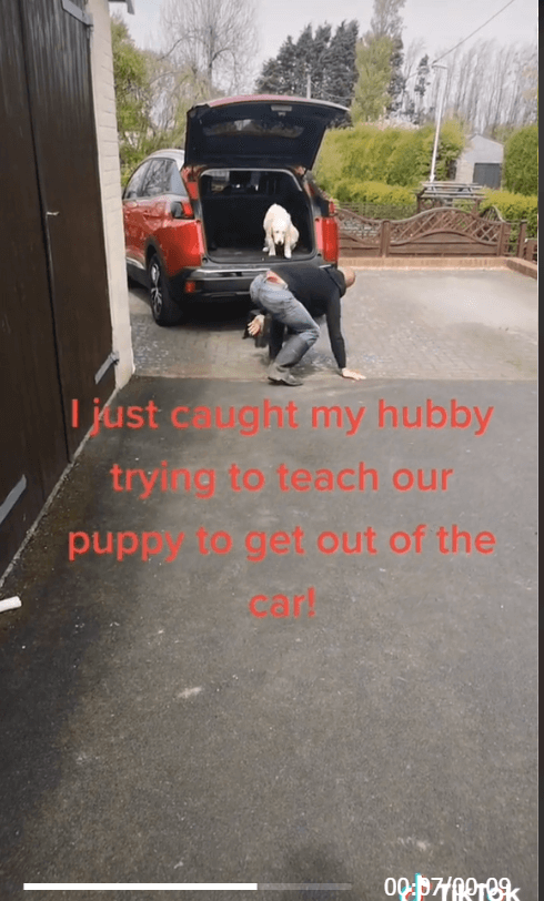 Pup getting out of car