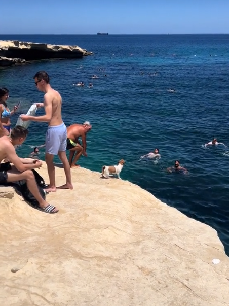 Viral video of adorable Jack Russell pup barking at edge of cliff overlooking ocean just itching to jump Viral video of adorable Jack Russell pup barking at edge of cliff overlooking ocean just itching to jump