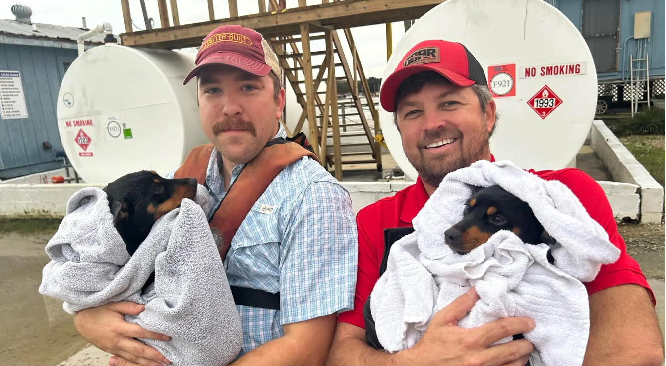 UPDATE: Suspects arrested after allegedly throwing 2 puppies off Dog River Bridge