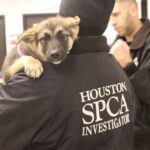 Puppy heard crying inside trunk at Harris County Park rescued