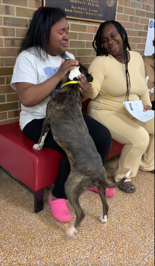 Tears of joy: After 5 long months missing ‘Queen’ reunited with her loving family