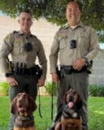 Two department K9s find missing woman who had fallen 200 feet down a steep ravine