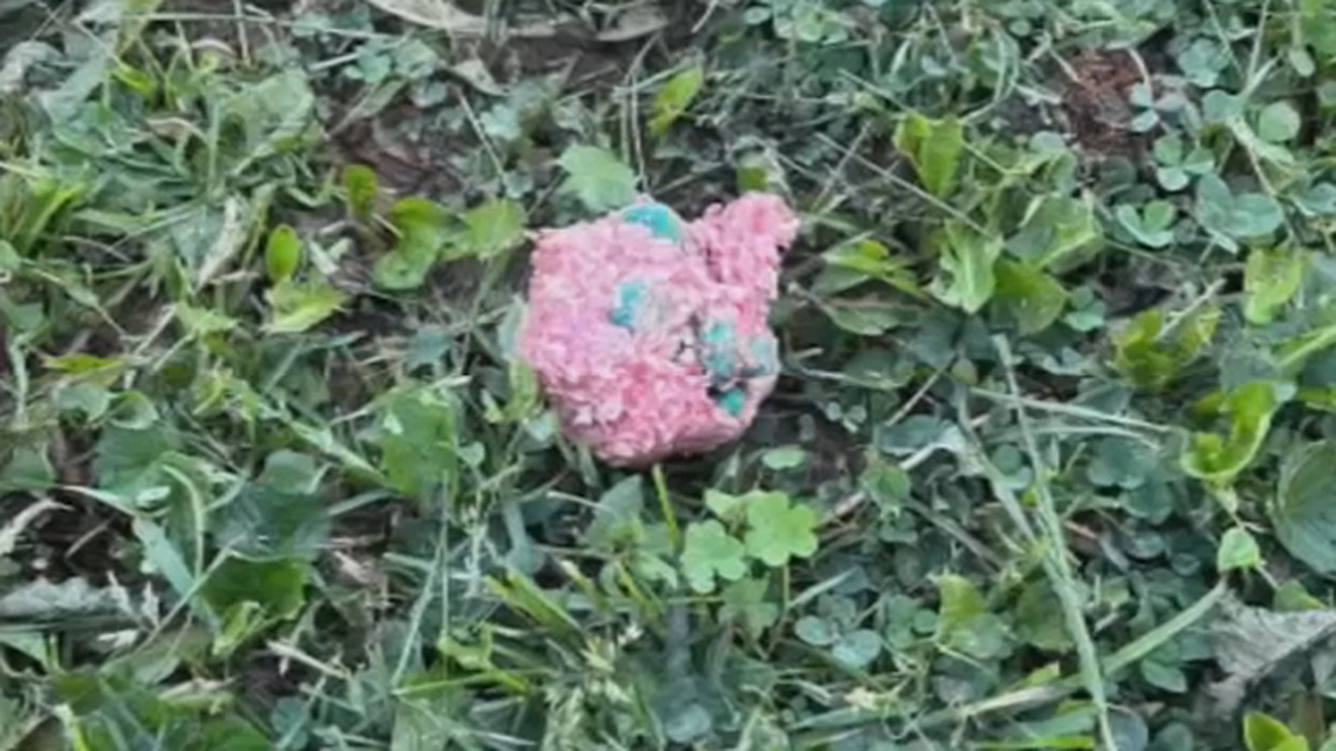 Neighbor arrested after allegedly throwing rat poisoned meatballs to stop dogs from barking Neighbor arrested after allegedly throwing rat poisoned meatballs to stop dogs from barking