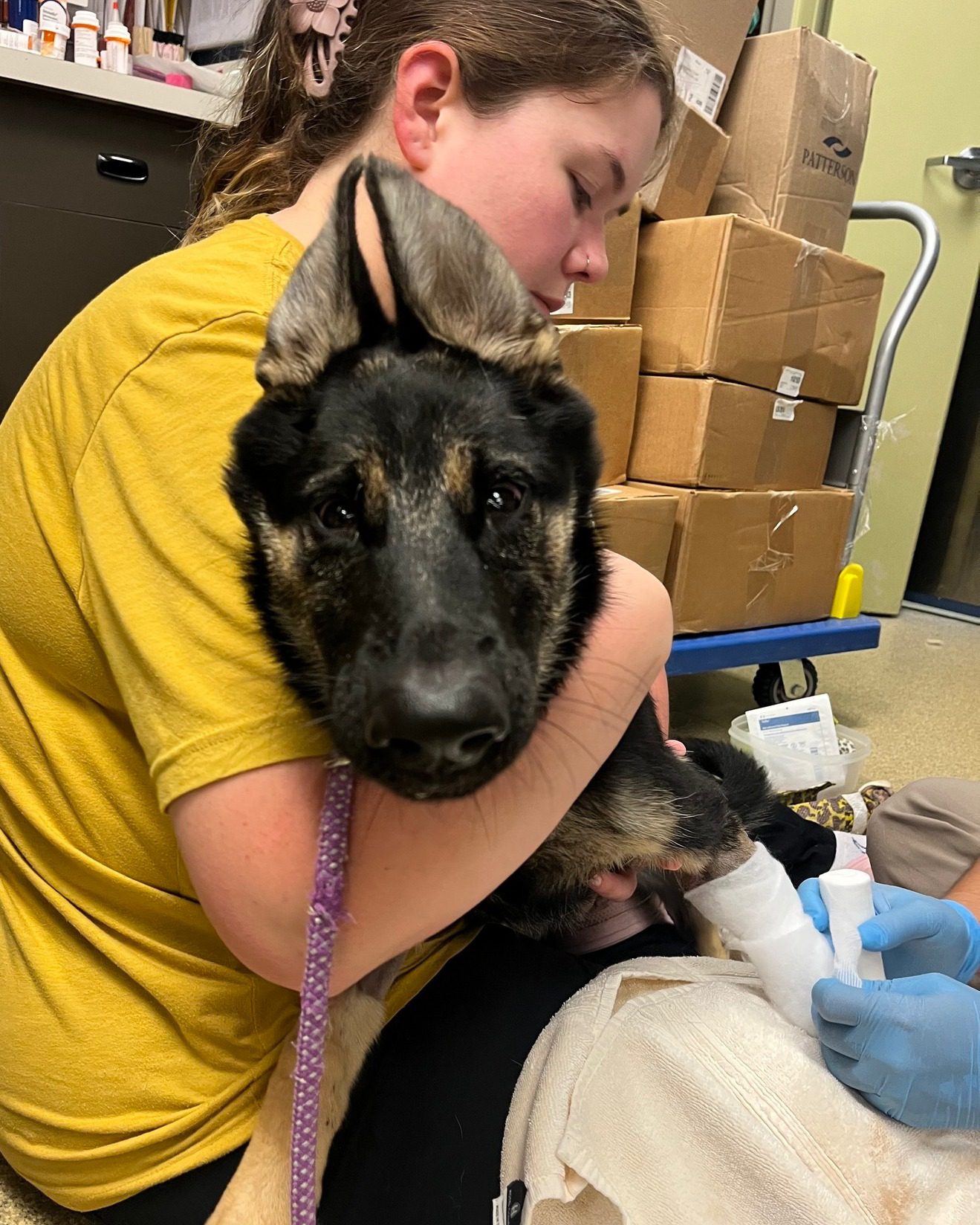 Warrior puppy with heartbreaking injury and rare case of tetanus fights back with amazing rescuers Warrior puppy with heartbreaking injury and rare case of tetanus fights back with amazing rescuers