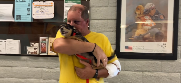 Most heartwarming story of the day as driver and dog reunited after car crash