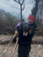 No such ‘thing as neighborhood dog’ Doberman stray roamed area for months now safe and warm