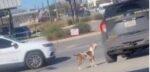 Heartbreaking: Police arrest homeless man leaving his dog behind barking and chasing cruiser in heavy traffic