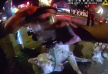 Sanford police officer rushes into burning home to rescue unconscious dog