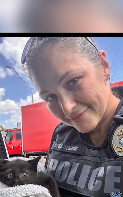 Sarasota police officer rescues tiny ball of fur scurrying across highway just to get trapped in wheel well