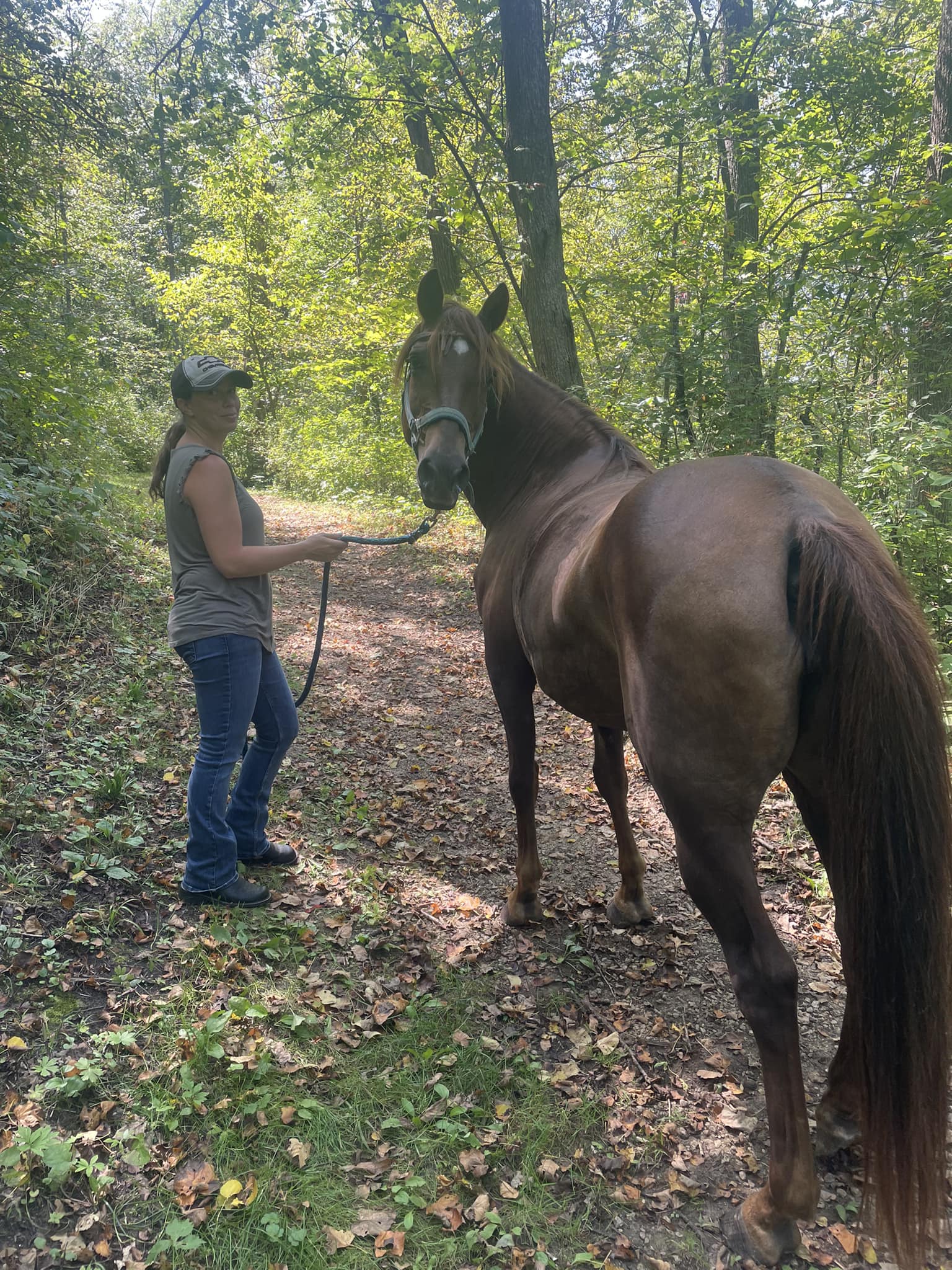 Happy reunion: Search for Scarlet the missing horse ended and reunited with family
