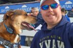 Navy veteran’s missing dog FOUND after fleeing when struck by truck Navy veteran’s missing dog FOUND after fleeing when struck by truck