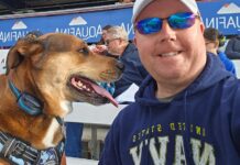 Navy veteran’s missing dog FOUND after fleeing when struck by truck