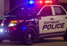 Dog accidentally shoots person in car with shotgun