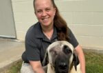 Texas dog recovering after 2 men tried to shoot her with pellet gun