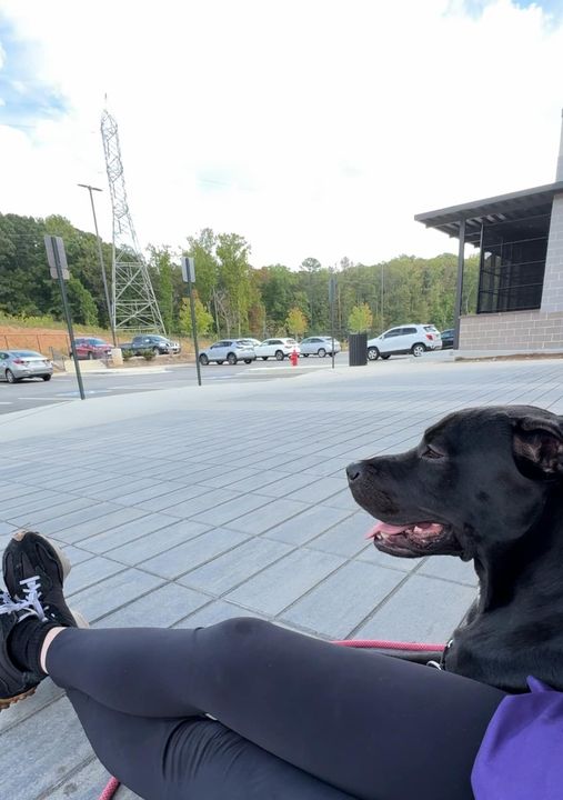 Perfect dog sits lovingly by his advocate in last hours before pup is to be euthanized Perfect dog sits lovingly by his advocate in last hours before pup is to be euthanized