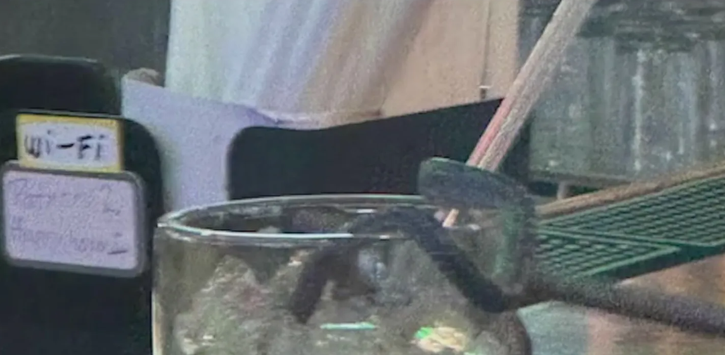 Woman traumatized after snake fell from ceiling into her margarita in restaurant Woman traumatized after snake fell from ceiling into her margarita in restaurant